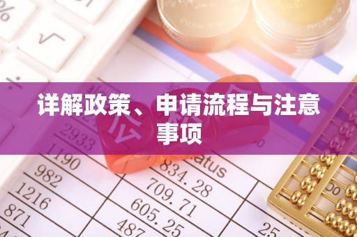 湾里详解政策、申请流程与注意事项