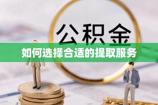 湾里如何选择合适的提取服务